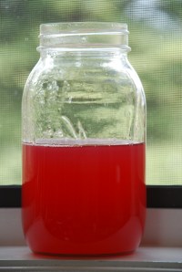 Rhubarb Margaritas (8)