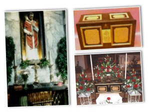 Photo Credit: The Irish Province of the Order of Carmelites