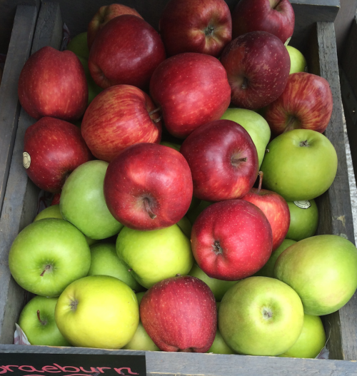 Screen Shot 2015-10-22 at 9.14.32 AM