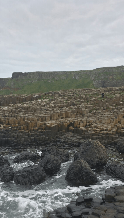 Screen Shot 2016-06-14 at 5.45.02 AM