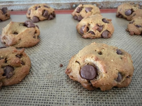 Tray of pumpkin chocolate chip cookies